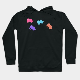 Colored Ferrets Hoodie